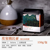 No Islands Coffee Ethiopia Grana Splendid Summer Sun Treatment Boutique Coffee Bean Hand Punching Single Pint Black Coffee