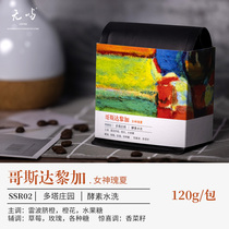 No Islands Coffee Costa Rica Dota Goddess Estate Treasures Summer Enzyme Washed Boutique Coffee Bean Handmade Pint