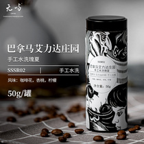 No Islands Coffee Panamanian Aylida Estate Handmade Washed the Splendid Summer Boutique Coffee Bean Handmade Pint Can Be Now Polished