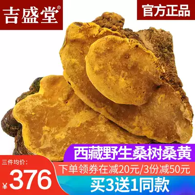 Jishengtang mulberry mulberry yellow Tibetan mulberry mulberry yellow pruning hole bacteria field growth Mulberry yellow ganoderma lucidum 250g