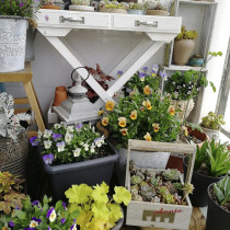 Foreign trade solitary products-courtyard outdoor solid wood flowerpot vintage old wooden flower basket multi-meat potted big flower device