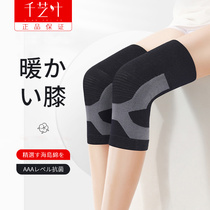 Japanese graphene fever knee keeps warm old cold legs men and women joints for elderly Spring and Autumn Costumes