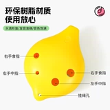 Пластиковые музыкальные инструменты для начинающих для школьников для взрослых