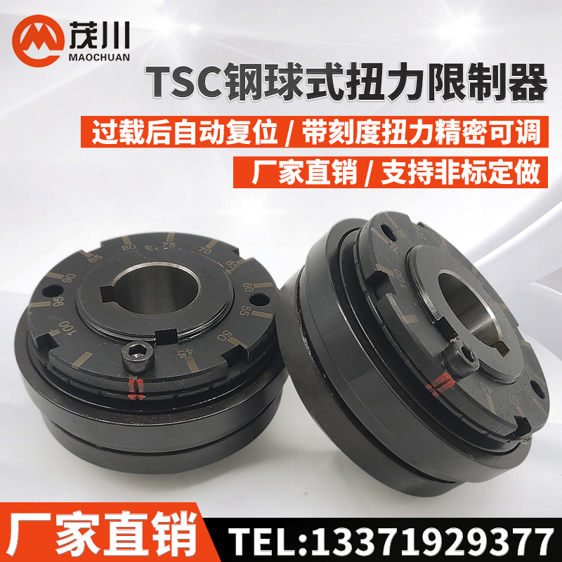 TSC steel ball torque limiter AQ0123456 expansion sleeve overload motor protector safety clutch