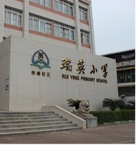 Ruiying Primary School Redress Shunde District Ronggui Primary School Primary School Students Summer clothes long short sleeve blouses Autumn Clothes Sportswear School Uniform
