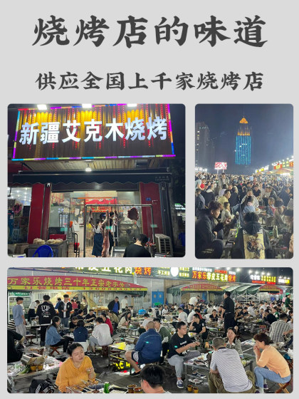 新疆挂糊料羊肉串料配料腌制料亚克西羊排烧烤调料烧烤料撒料商用