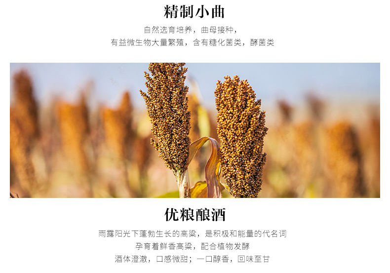 劲牌 中国劲酒 35度滋补养身酒 600ml*2瓶 礼盒装 图3