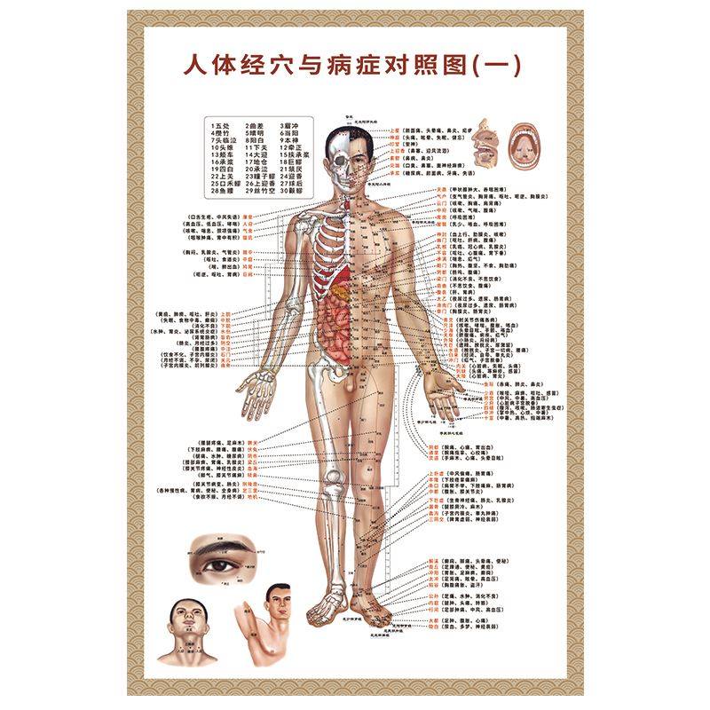 Human body meridians and acupoints standard wall chart high-definition acupuncture cupping acupoints map physiotherapy whole body meridians massage control chart - Taobao