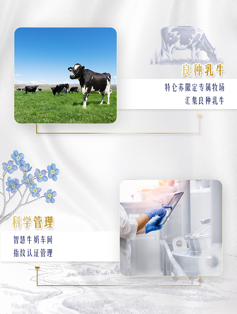 蒙牛 特仑苏 高端纯牛奶 250ml*12盒*2箱 图4