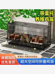 Куриная клетка