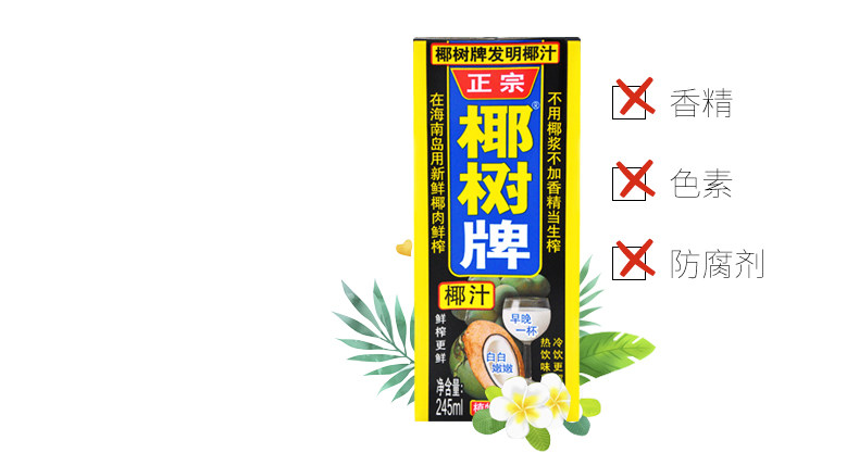 椰树 正宗椰树牌椰子汁饮料 245ml*24盒 图5