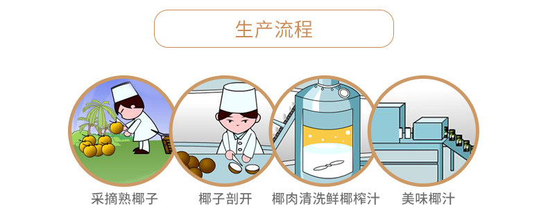 椰树 正宗椰树牌椰子汁饮料 245ml*24盒 图9