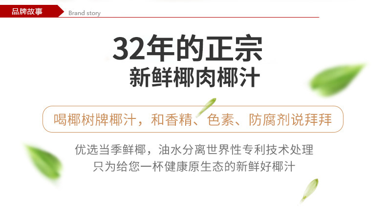 椰树 正宗椰树牌椰子汁饮料 245ml*24盒 图2