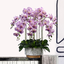 Phalaenopsis artificial flower high-end feel orchid fake flower potted porch living room dining table front desk decorative floral ornaments