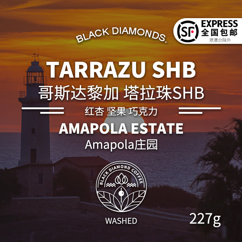 Black Diamond Costa Rica Tara Beads SHB Washed Moderately Roasted Single Product Hand Brewed Fine Coffee Beans 227g
