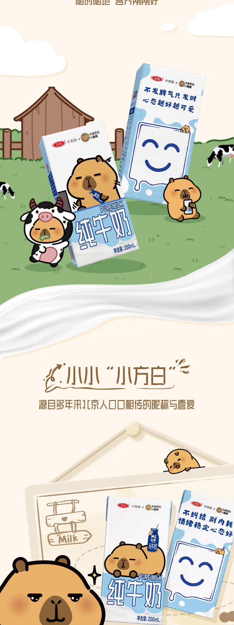 安享好物 安享B级纯奶-三元小方白 全脂纯牛奶 国标 