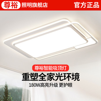 Living Room Main Light Atmospheric 2025 New Eye Protection Ceiling Light Modern Simple Zhongshan Lighting Whole House Package Combination