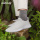 Дышащая обувь Allbirds Tencel от Dong Jie в том же стиле, что и дышащая обувь Tree Runner из эвкалиптовой сетки, удобная легкая мужская и женская обувь mini 2