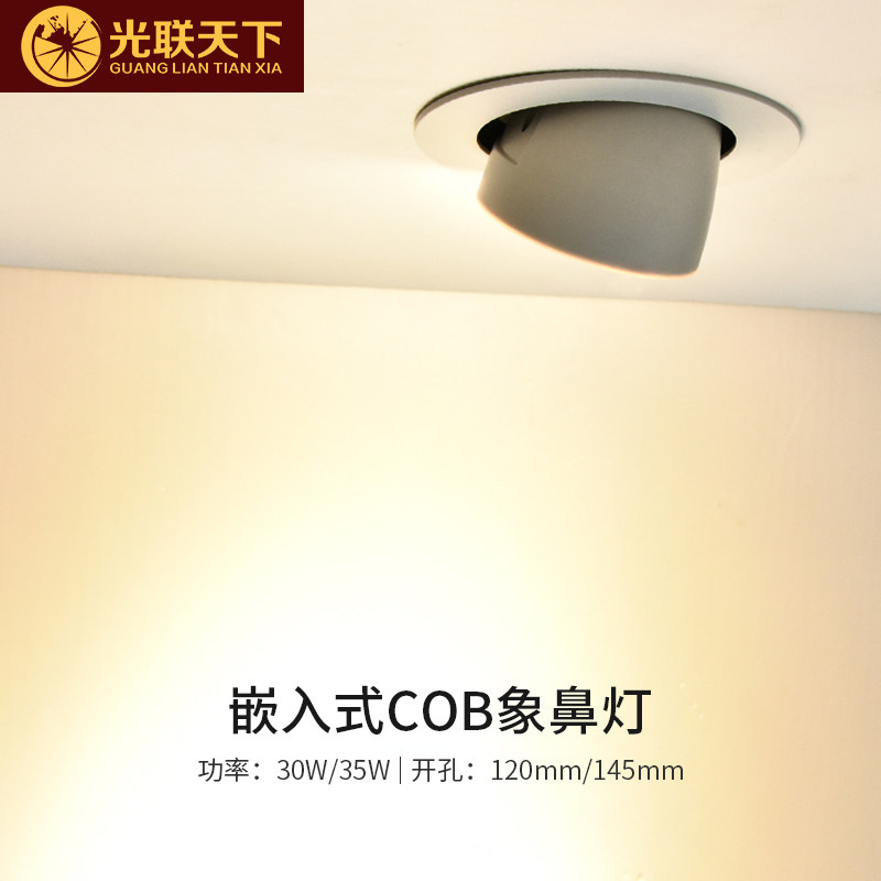 Guanglian World Elephant trunk light led spot light Embedded shop Commercial clothing store exhibition hall ceiling light cob downlight
