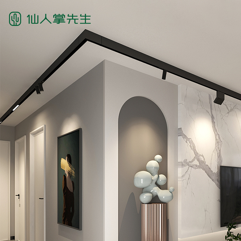 Mr. Cactus Mr. Ming Mount Magnetic magnetic track light strip ultra-thin slide rail embedded in no main lamp lighting for home LED spotlight