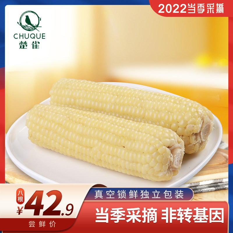 Chuque white corn sweet glutinous corn sweet corn on the cob ready-to-eat corn fresh old corn northeast sticky corn 8 sticks