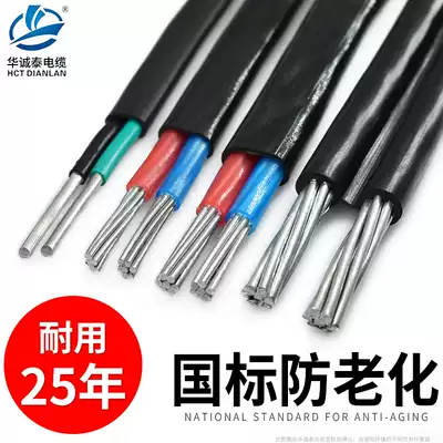 2-core ten square aluminum core wire outdoor National Standard 2 5 4 6 10 16 25 square household agricultural reform anti-aging