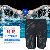 Factory direct sales swimming trunks mens five-point sports training plus fat increase quick-drying anti-chlorine swimming trunks anti-embarrassment hot spring pants