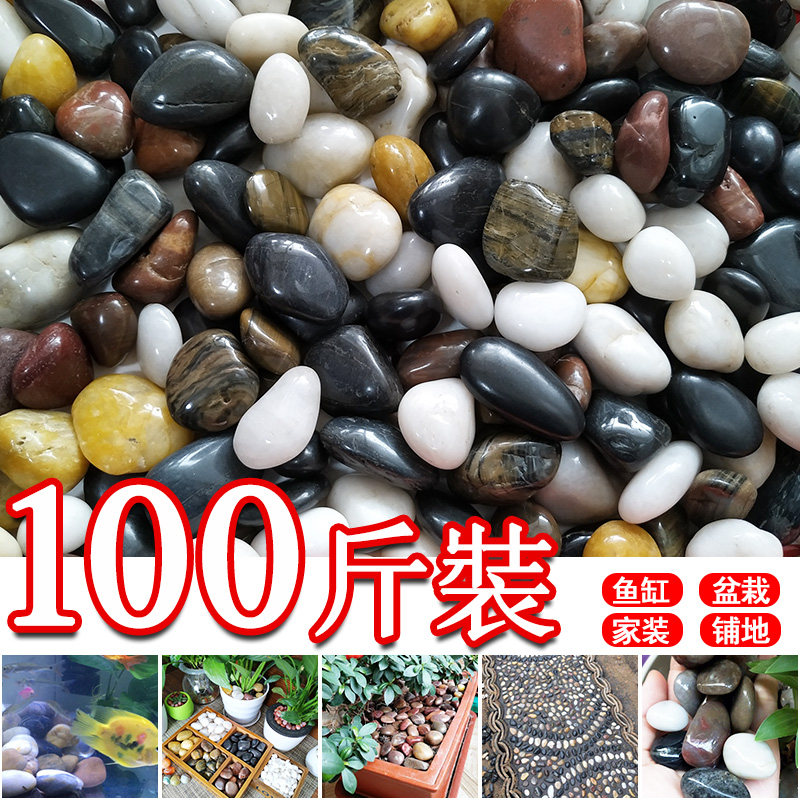 100 pounds of natural pebble paving courtyard paving stone rain flower stone fish tank flower pot stone cobblestone
