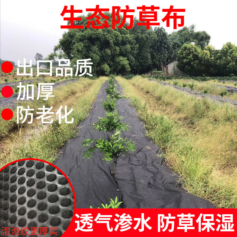 Natian Lu New Ecological Anti-grass Clothed Weaving Durable Fruit Tree Not Woven Fabric Breakthrough Film
