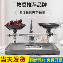 High precision tray balance scale teaching aids Primary school students experimental physics teaching weights Balance scale mechanical rack plate Household