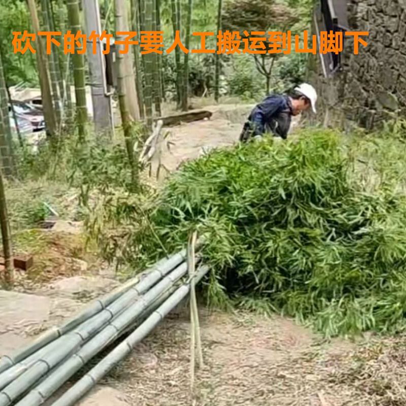 修竹工艺