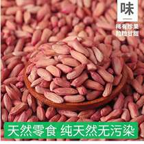 2021 New shriveled peanut rice small grain Gandonia peanuts rice 1 Shandong snacks vacuum 5 catty of dried peanuts