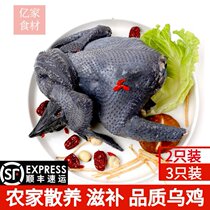 Wuji farmhouse free-range Old Hen whole 800g fresh frozen walking chicken moon chicken chicken running pheasant stupid chicken local chicken
