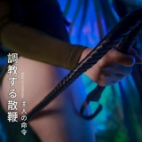 Little Pippi Funny Tool SM Props страсть, пердун, женщина -раб, мужской рабом SP Инструменты наказания, разбросанный кнут