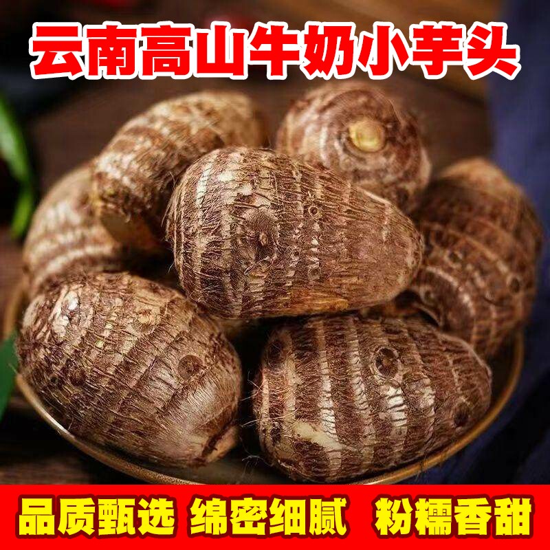 云南牛奶芋头毛芋头奶新鲜现挖先发小香芋软糯香甜奶白色细腻多肉
