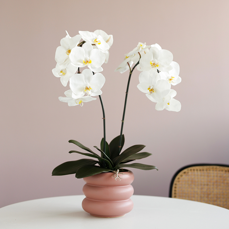 Butterfly Lan Emulation Flower Potted Plant Pendulum Pieces Modern Minimalist Morandi Color Orchid Living-room Fake Flower Table Flower Pendulum Flowers