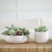 Gardenia home simulation plant decoration ornaments Home accessories Green plant fleshy potted plant set combination indoor decoration