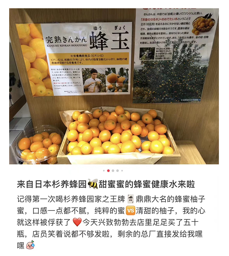 【日本直郵】杉養蜂園水果蜂蜜柚子果汁蜜富含VC 柚子味500g