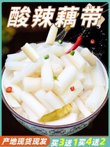 Hubei Special Bubble Lotus Root Belt 400g * 3 Bag Acid Spicy Soak Root fresh lotus root tip Lower rice dish cool vegetable pickle pickle