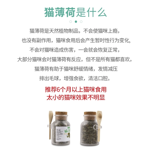 Cat Mint Plum Cat Catal Cosmetic Maoxian созвездие вода питание Cat Bo Lotus Catal Cat Catal Artifact Toy Products