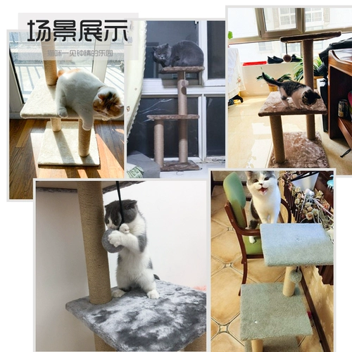 Специальный куб кошачий кошка кошка на полке маленькая легкая легкая световая катал -столк