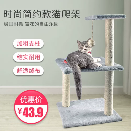 Специальный куб кошачий кошка кошка на полке маленькая легкая легкая световая катал -столк