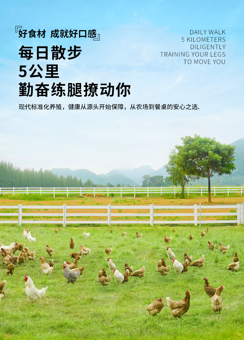 牛味小站 冷冻鸡中鸡+翅根组合 4斤 图6