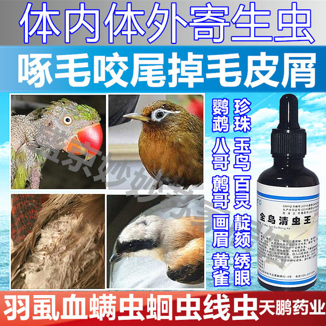 ນົກທົ່ວໄປ Xuanfeng tiger skin peony myna feather pecking syndrome, hair loss and dander biting hair tail blood mite feather lice in vivo ແລະ in vitro