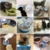 Pet mèo và chó cần thiết hàng ngày vật nuôi bát con chó bát gốm mèo bát mèo lưu vực bát con chó bát gốm thức ăn bát con mèo bát thức ăn - Cat / Dog hàng ngày Neccessities