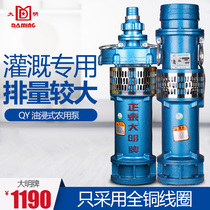 Daming QY oil immersed submersible pump three-phase 380v copper core large flow pump 2 3 4 6 inch agricultural irrigation pump