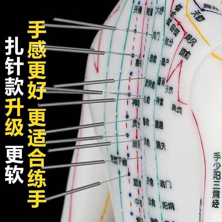 Human acupuncture of acupuncture acupuncture acupuncture of the human body of the human acupuncture of the human body 12-plus-sized man and woman