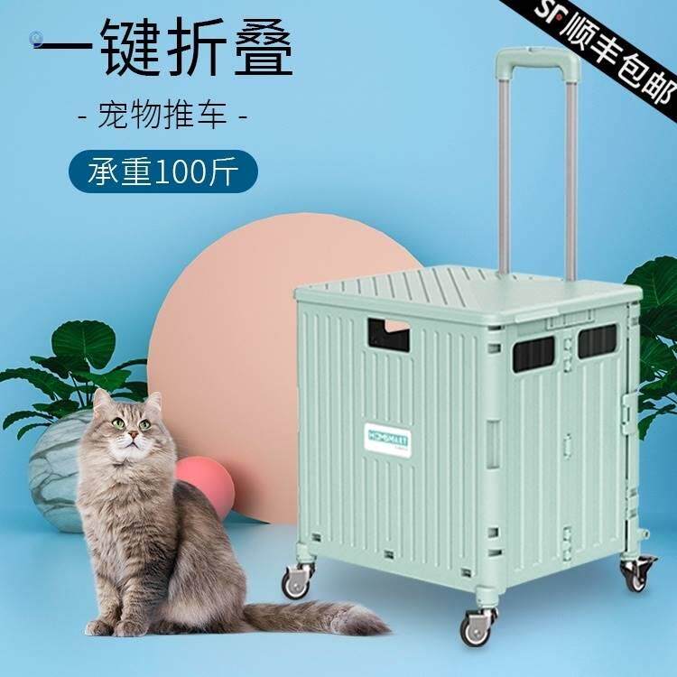 Pet Pull Lever Box Large Capacity 20 Jin Small Body Pooch Out Bag Portable Two Cat And Cat Cat Bag Small And Convenient