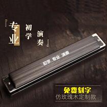 Twenty-four-hole mouth organ musical instrument harmonica C key logo sixty-one diatonic student note adult self-learning portable