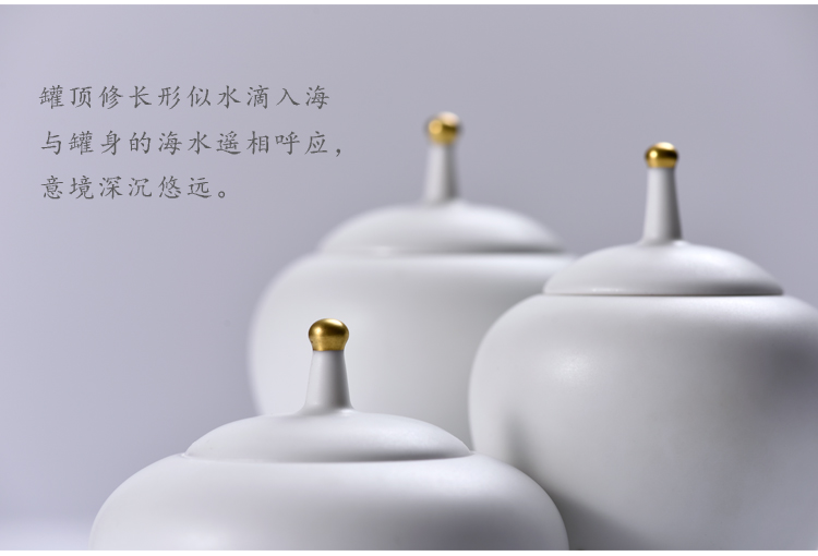 Bright checking ceramic tea pot small tea warehouse mini portable pure hand - made seal pot POTS and POTS